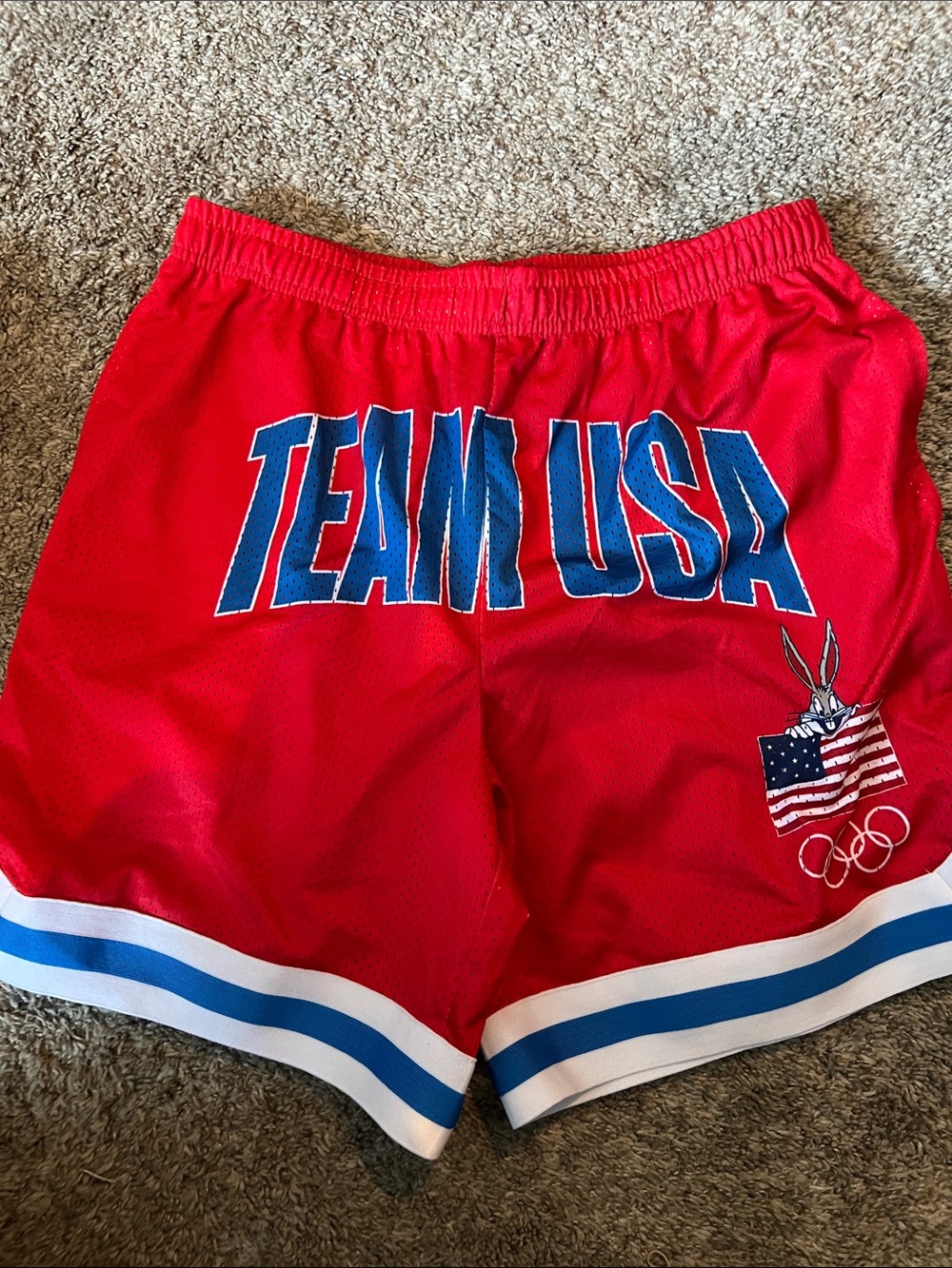 Looney Tunes x Team USA mesh shorts